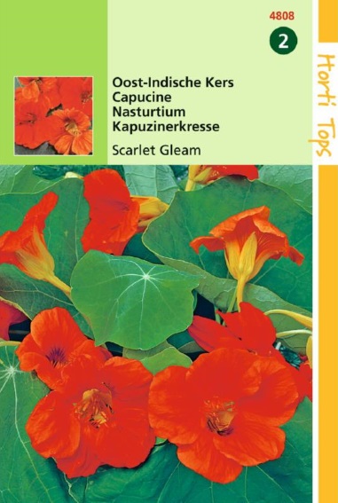 Garden Nasturtium Scarlet Gleam (Tropaeolum) 25 seeds